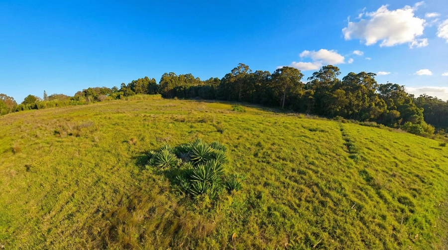 0 Bedroom Property for Sale in Kabega Park Eastern Cape